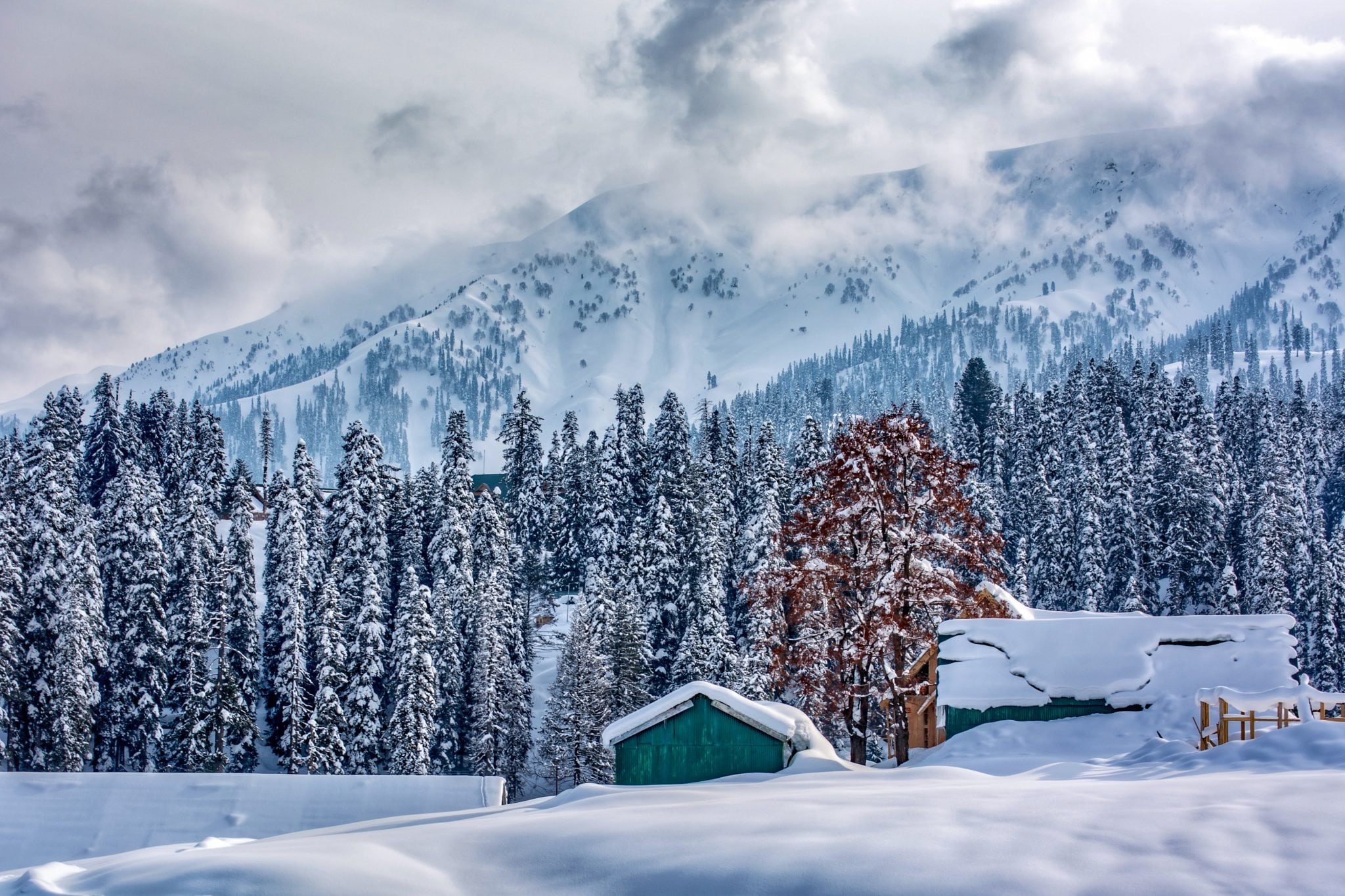 Gulmarg Landscape